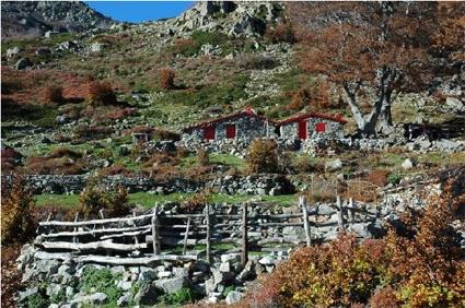 Circuit dcouverte Thmatique / La Corse au Coeur / Rgion Sud / Corse