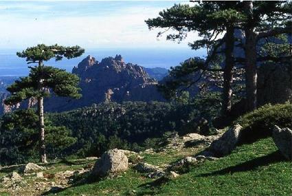 Circuit dcouverte Thmatique / La Corse au Coeur / Rgion Sud / Corse