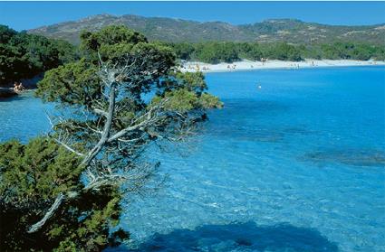 Circuit dcouverte active / Randonne Kayak de mer en Corse / Ajaccio / Corse