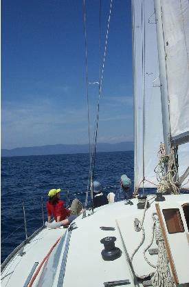 Circuit dcouverte active / Voile en Corse / Ajaccio / Corse