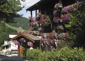 Hotel Le Petit Dru 3 *** / Morzine / Haute Savoie