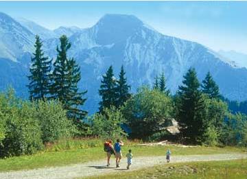 Hotel Le Petit Dru 3 *** / Morzine / Haute Savoie