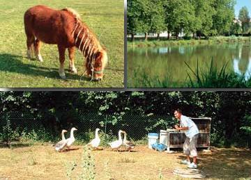 Rsidence L' Obre 2 ** / Vandr / Pays-de-la-Loire