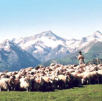 Court Sjour - Week-end / Rencontre avec le berger dans le Val d'Azun / Arrens Marsous (Hautes Pyrnes)