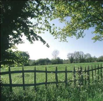 Court Sjour - Week-end / Randonne Nature en roulotte  / Aubigny (Deux-Sevres)