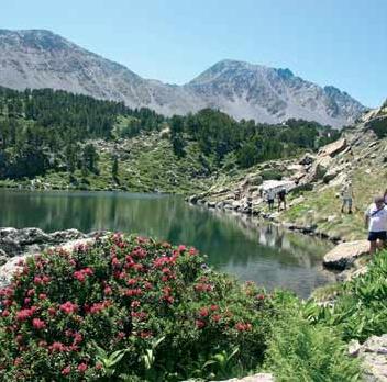 Court Sjour - Week-end / Sur les hautes terres du Languedoc Roussillon / Font Romeu (Pyrnes Orientales)