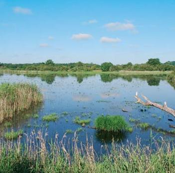 Court Sjour - Week-end / Week-end roulotte en Brenne / Luant (Indre)