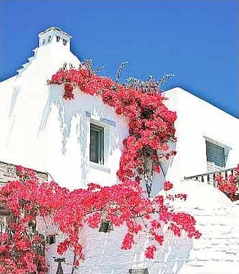 Hotel Yria 4 **** / Paros / Grce