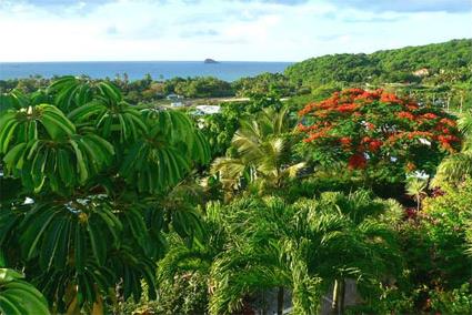 Hotel Rsidence Carabes Bonheur 4 **** / Fort Royal / Guadeloupe