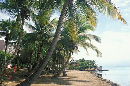 Hotel Les Rsidence Yucca 2 **  Sup. / Gosier /  Guadeloupe