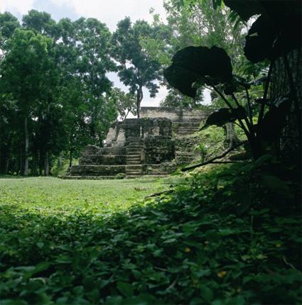 Excursion au Dpart de Flores - Tikal / Guatemala