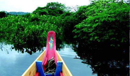 Guyane Circuit Aventure sur le Maroni en pirogue 