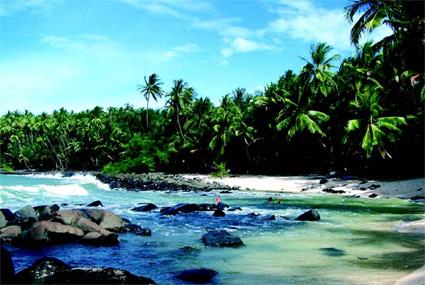 Guyane Circuit Aventure sur le Maroni en pirogue 