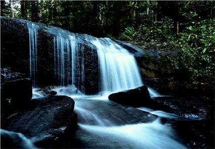 Guyane Circuit Aventure sur le Maroni en pirogue 