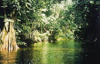 Guyane Circuit dcouverte Kourou - Ile du Salut Caman - La Crique Gabrielle