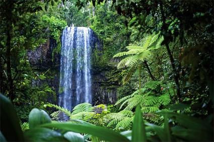 Excursion les d' Efate / Saut du Gaul le de Pentecte / Vanuatu