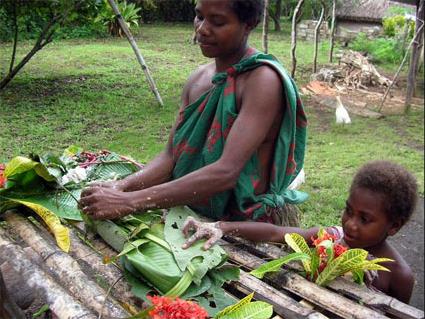 Excursion les de Tanna / La Grotte Bleue Engloutie / Vanuatu