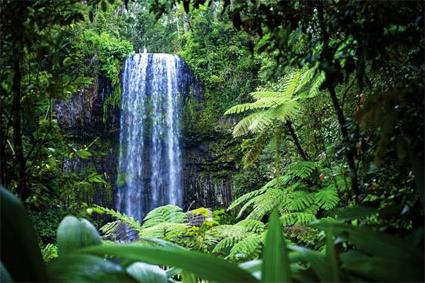 Excursion les de Tanna / Plage de Surf & Cascade de Louniel / Vanuatu