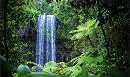 L' les de Tanna / Vanuatu / les du Pacifique