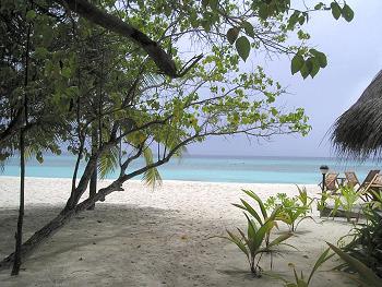 Hotel Elladhoo 3 *** sup. / les Maldives