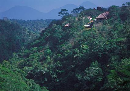 Hotel Alila Ubud 4 **** / Ubud / Indonsie