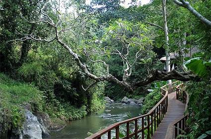 Hotel Maya Ubud 5 ***** / Ubud / Indonsie