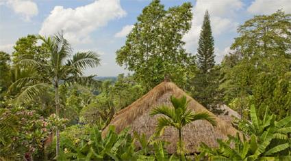 Hotel Uma Ubud 5 ***** / Ubud / Indonsie