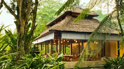 Hotel Uma Ubud 5 ***** / Ubud / Indonsie