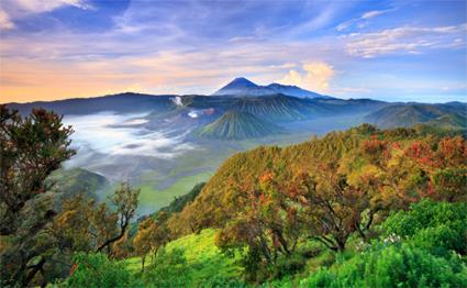 Les Excursions  Bali  / Kintamani et Besakih / Indonsie