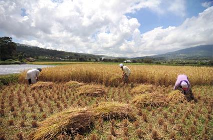 Les Excursions  Bali / Exprience au village / Indonsie