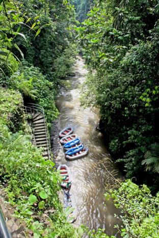 Les Excursions  Bali / Les rivires en rafting / Indonsie