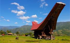 Vacances  Sumatra & Clbes / Indonsie