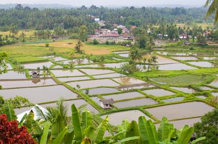 Les Circuits  Sumatra & Clbes / Les rois de Minangkabau / Indonsie