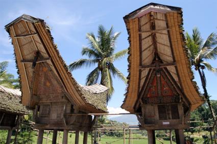 Les Circuits  Sumatra & Clbes / Tana Toraja / Indonsie