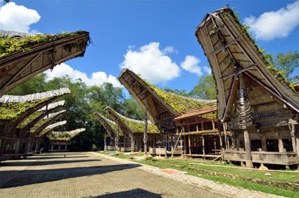 Les Circuits  Sumatra & Clbes / Tana Toraja / Indonsie