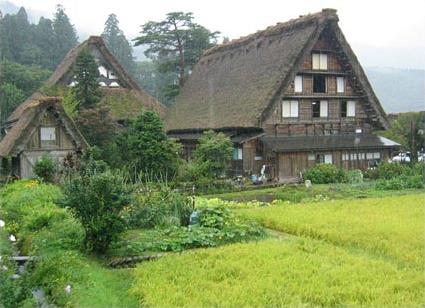 Les Circuits  Tokyo / Le chemin des montagnes / Japon