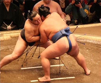 Les Excursions  Tokyo / Tournois de sumo / Japon