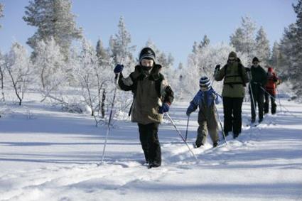 Sjours Balade Nordique / Ivalo / Laponie Finlandaise