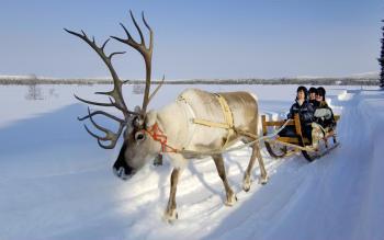 Sjours Objectif Nature / Ivalo / Laponie Finlandaise