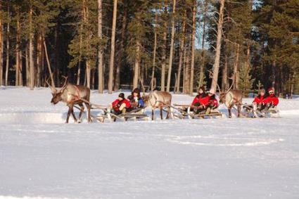 Sjours Rve d'Igloo / Ivalo / Laponie Finlandaise