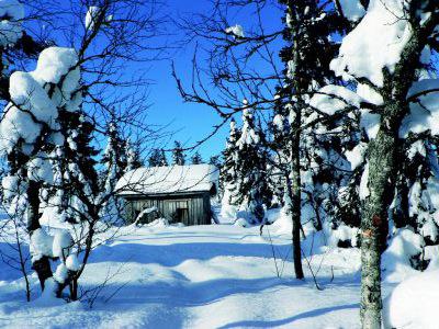 Sjours Activits Traditions Sami / Ivalo / Laponie Finlandaise