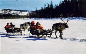 Hotel Les Chalets de Luosto 4 **** / Luosto / Laponie Finlandaise