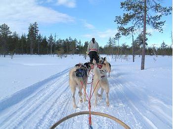 Hotel Cumulus Rovaniemi 3 *** / Rovaniemi / Laponie Finlandaise