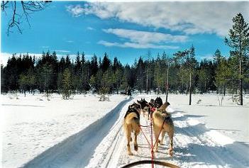 Hotel Ounasvaaran Pirtit 3 *** Sup. / Rovaniemi / Laponie Finlandaise