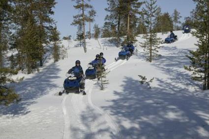 Dcouvertes Motoneige Evasion Poudreuse / Rovaniemi / Laponie Finlandaise