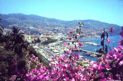 Auto - Tour Hors des sentiers battus Tradition/ Funchal / Madre