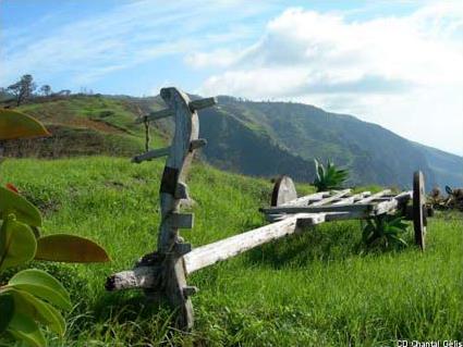 Circuit Dcouverte Nature et Tradition / Funchal / Madre