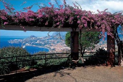 Hotel Orca Praia 3 *** / Funchal / Madre