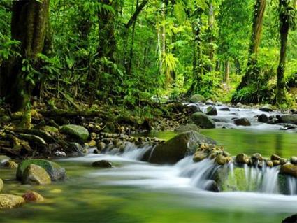 Les Excursions  Borno / Mystres du Sarawak / Malaisie