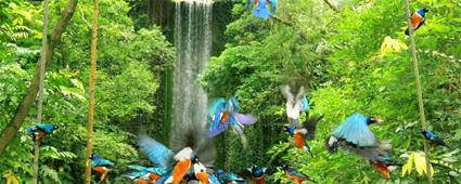 Les Excursions  Singapour / Jurong Bird Park / Malaisie